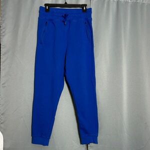 Beach Riot Blue Jogger Pants